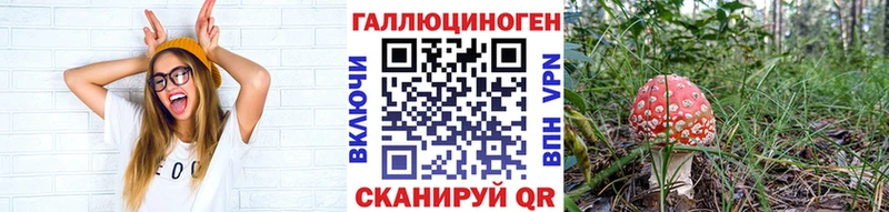 Псилоцибиновые грибы MAGIC MUSHROOMS  Балей 